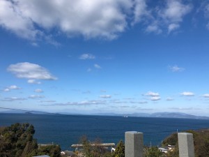 image0 (11)