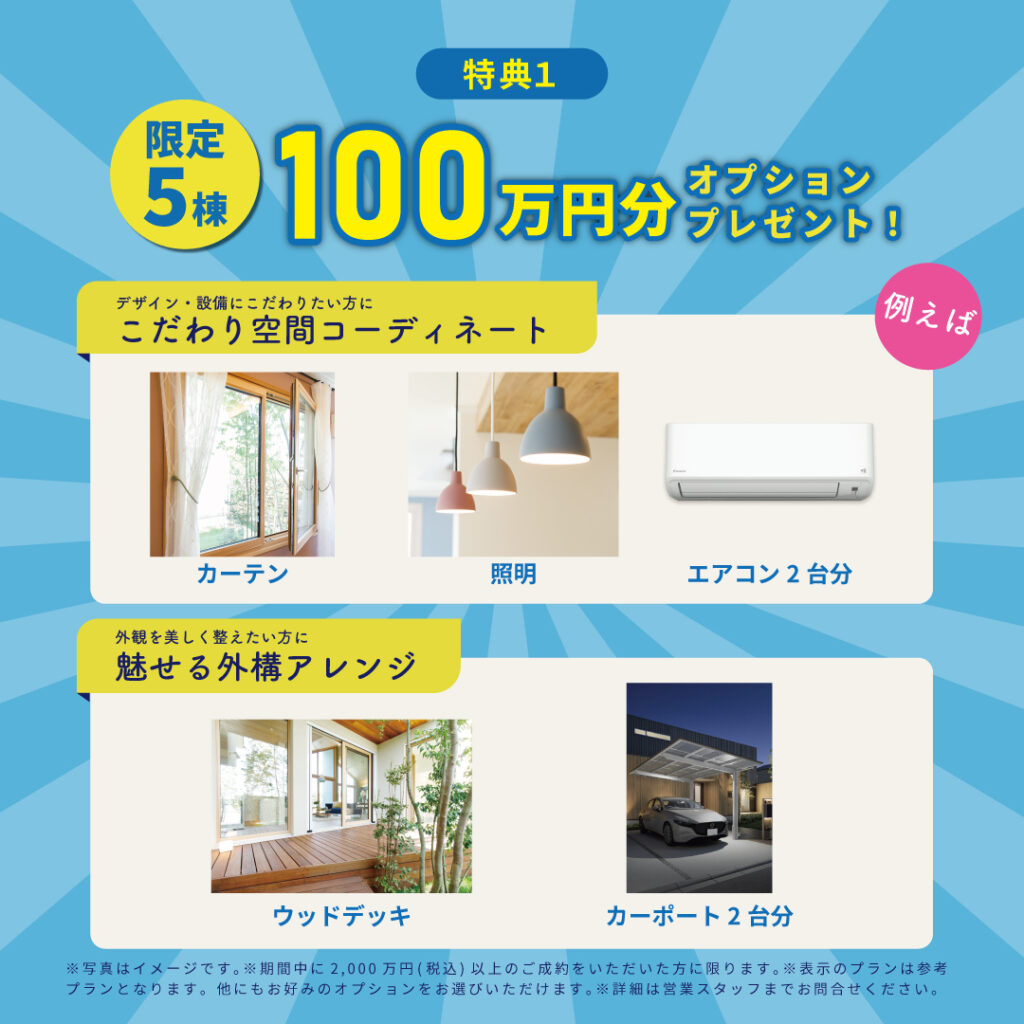引越しキャンペーン100万円オプション