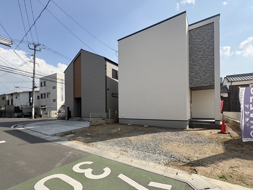 2026年3月23日撮影